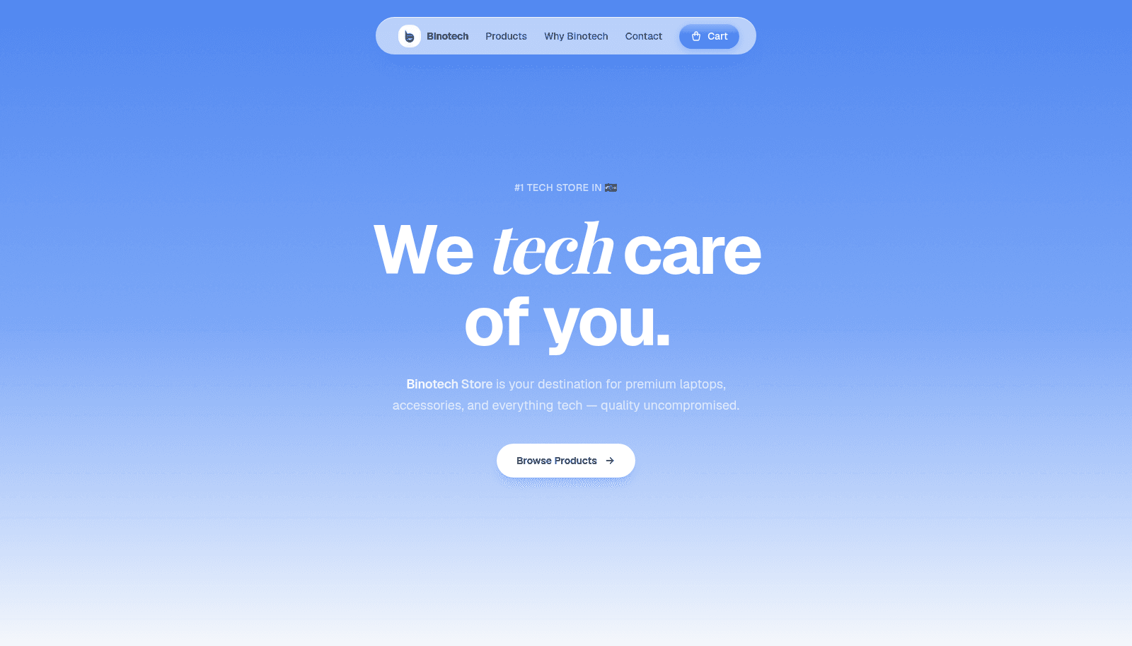Binotech Store — storefront hero
